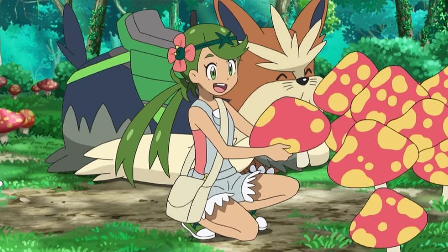 Trainer Mallow smiling whilst harvesting mushrooms