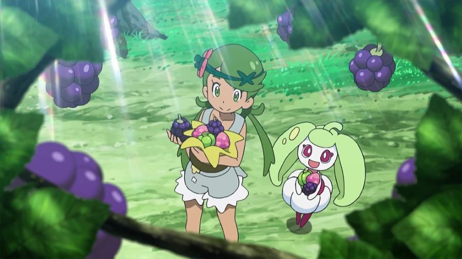 Trainer Mallow and pokémon picking berries